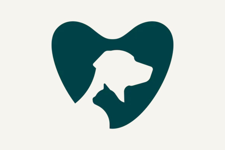 Ashleigh Vets Chorlton
