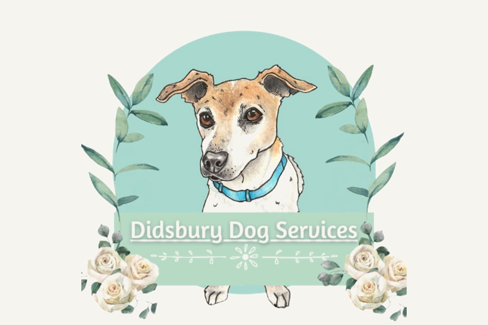 Didsbury Dog Services